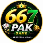 667pak game