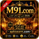 m91 game icon